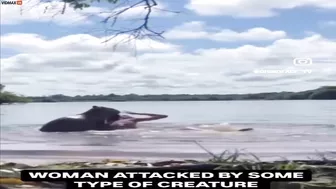 Have You Ever Seen Someone Being Attacked By A Capybara?