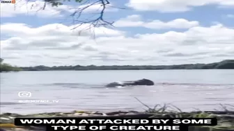 Have You Ever Seen Someone Being Attacked By A Capybara?