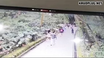 Fallen Tree Kills Two Tourists