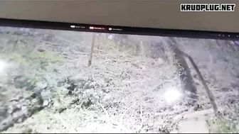 Fallen Tree Kills Two Tourists