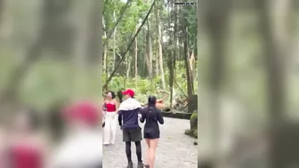 Fallen Tree Kills Two Tourists