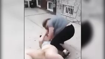 Fat Cat Wars