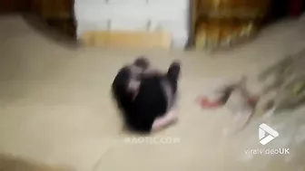 Fat Skater Broke His Balls