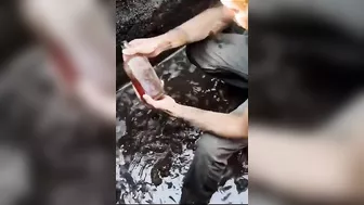 Finding A Bottle That Had Been Buried For Centuries