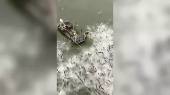 Fishing Correctly