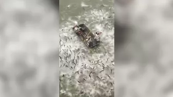 Fishing Correctly