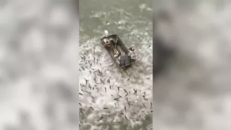 Fishing Correctly