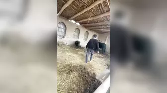 A Perfect Victory