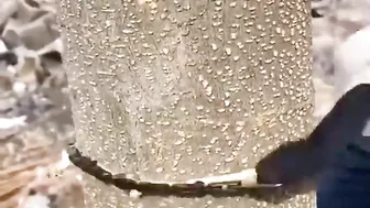 Flexible Hand Saw