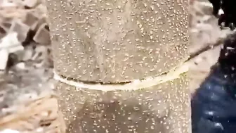 Flexible Hand Saw