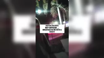 Hooters Beauty From Florida Tries To Use Her Wealth To Avoid Drunk Driving