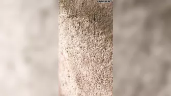 Four Workers Were Electrocuted