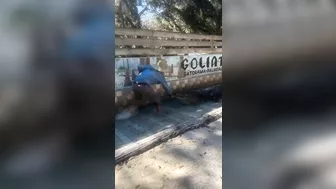 Go Look Around The Fucking Place