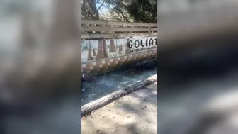 Go Look Around The Fucking Place