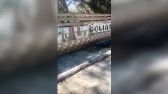 Go Look Around The Fucking Place