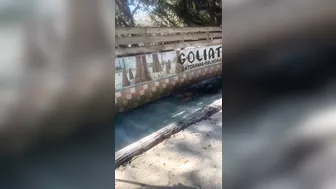 Go Look Around The Fucking Place