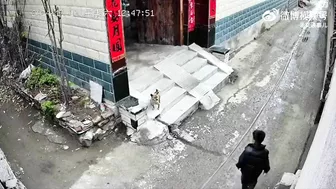 Give The Dog The Middle Finger