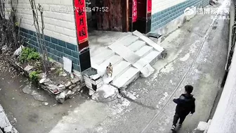 Give The Dog The Middle Finger