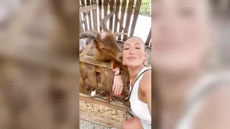 Goat Kisses Girl's Ears And Swallows Her Gold