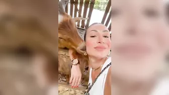 Goat Kisses Girl's Ears And Swallows Her Gold
