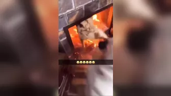 Goats Won't Give Up