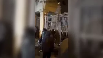 Stupid Protesters Get Stupid Karma