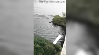 A Group Of People Walking Found A Man Jumping From A Bridge And Died
