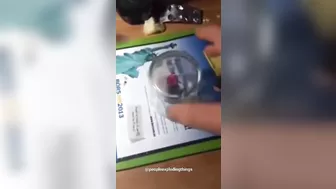 Stupid Guide
