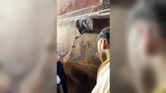 Holy AC Water