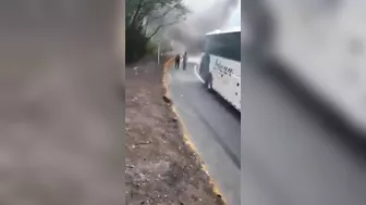 Holy Guacamole, Batman