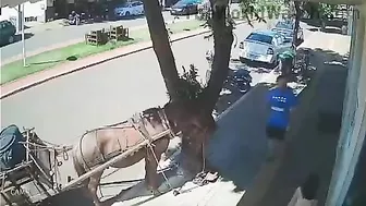 Horses Inspire A Daydreamer