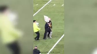 Hot Busty Woman Interrupts Steelers Game