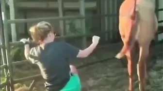 I'm Just Posting This For A Laugh On Christmas Morning