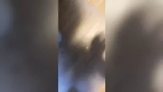 Idiots Fighting Flaming Nuts