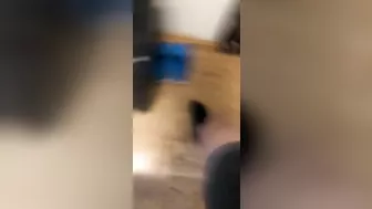 Idiots Fighting Flaming Nuts