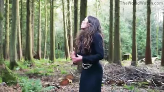 The Fools Of The Forest Disturb The Peace Of The Wildlife
