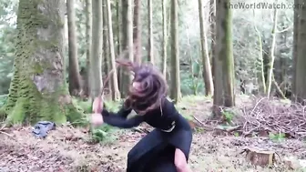 The Fools Of The Forest Disturb The Peace Of The Wildlife