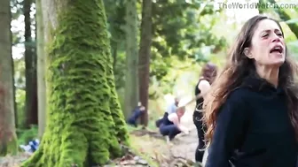 The Fools Of The Forest Disturb The Peace Of The Wildlife