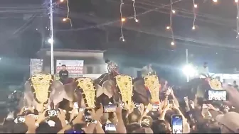 Indians Use Their Cell Phones To Run Against Angry Elephants