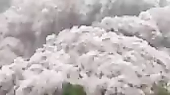Indonesia's Semeru Volcano Erupts, Spewing Ash
