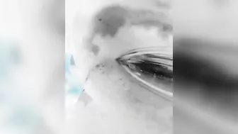 In The Shark's Mouth