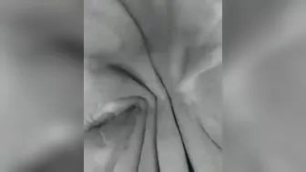 In The Shark's Mouth