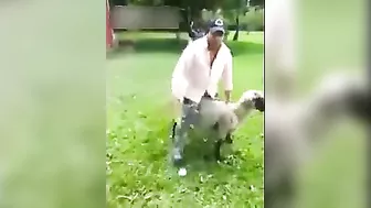 Instant Karma Ram