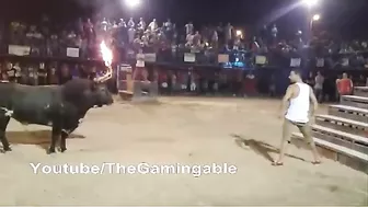 Instant Karma For Bullying A Police Officer