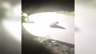 Is He Still Alive?