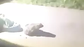 Is He Still Alive?