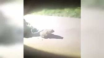 Is He Still Alive?