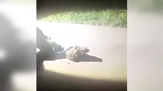 Is He Still Alive?