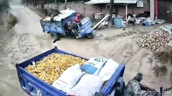It’s All About Corn