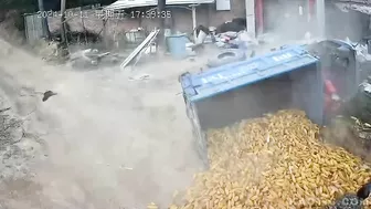 It’s All About Corn